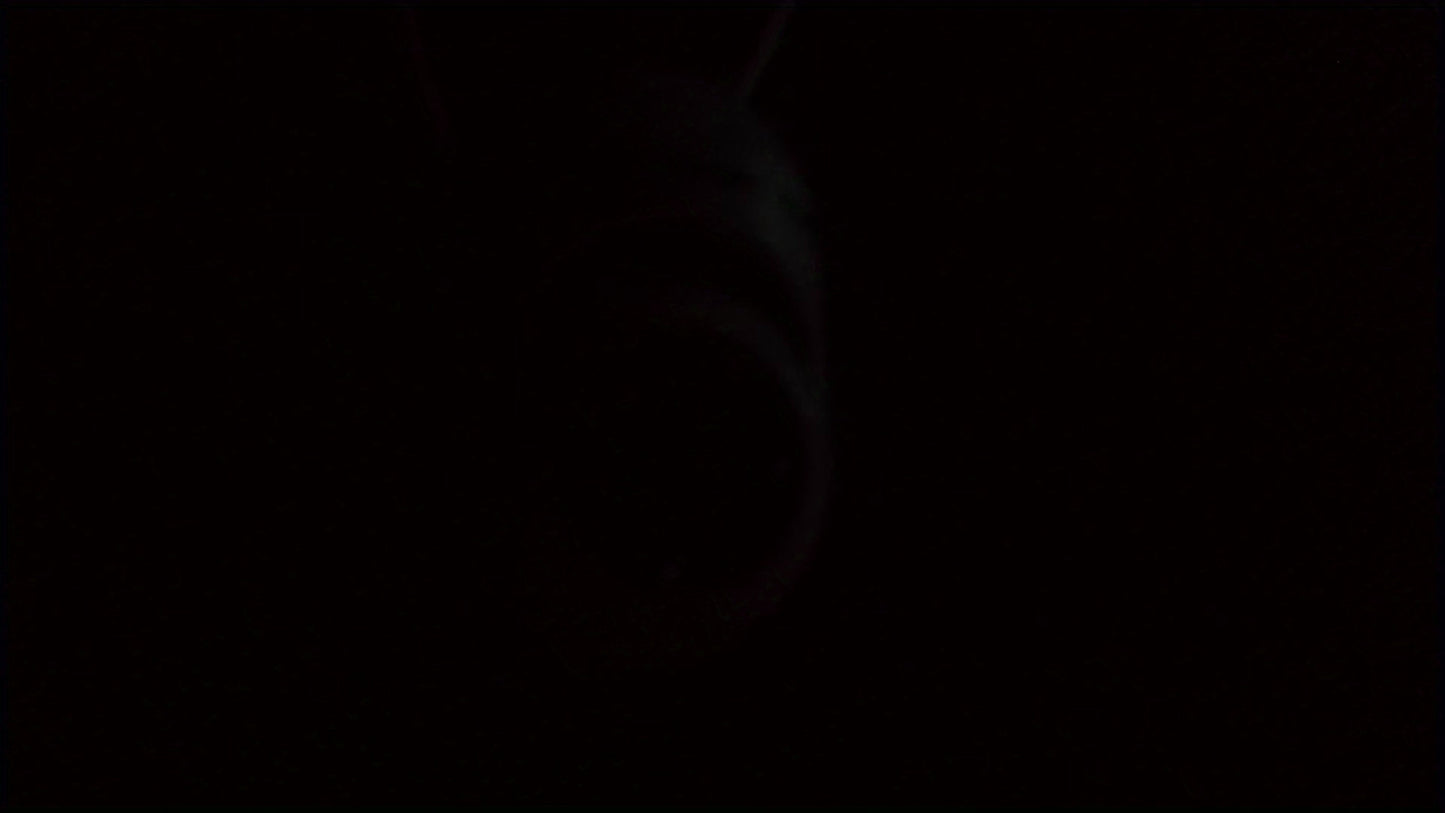 4pcs 1080P HD Security Cameras, Color Night Vision High-Definition Cameras, Two-Way Audio Video Cameras, Pan/Tilt/Zoom - 2.4G WiFi Smart Home Monitoring Cameras and Elderly